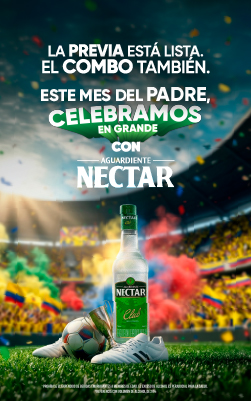 Copia de BANNER PX 250 400